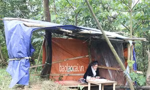 Dịch COVID-19: Học trò nghèo vùng cao Lào Cai vượt lên khó khăn, duy trì việc học