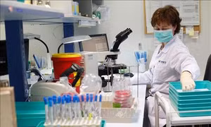 Israel phân lập thành công kháng thể virus SARS-CoV-2, đánh dấu "đột phá quan trọng"