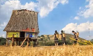 Vẻ đẹp phố núi Gia Lai