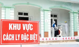 Dịch COVID-19: Đã có 262 ca dương tính với virus SARS-CoV-2 tại Việt Nam