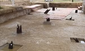 Thủ tướng dự khởi công Dự án khu bảo tồn bãi cọc Cao Quỳ
