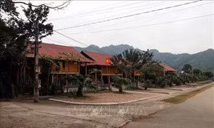 Xuân về trên quê hương cách mạng Kim Bình lịch sử