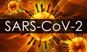 Pháp thử nghiệm vaccine chống virus SARS-CoV-2 trên chuột