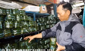 Bánh chưng Nhật Lệ