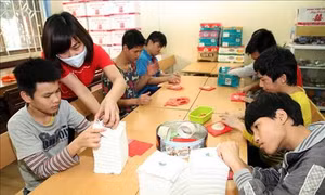Lập quy hoạch mạng lưới cơ sở trợ giúp xã hội thời kỳ 2021-2030, tầm nhìn 2050