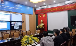 Dịch COVID-19: Ca dương tính thứ 30 ở Việt Nam là người nước ngoài