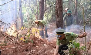 Gia Lai: Chung tay phòng chống cháy rừng mùa khô hạn