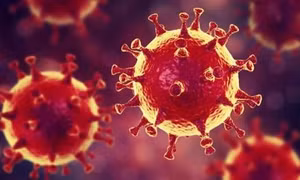 Phát hiện chủng virus mới có nguồn gốc amip