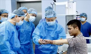 Thực hiện thành công ca ghép chi thể đầu tiên trên thế giới từ người cho sống