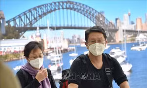  Australia công bố phát hiện đột phá về cơ chế miễn dịch phản ứng với virus SARS-CoV-2