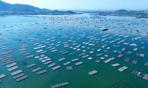 Khám phá vẻ đẹp làng bích họa Hòn Thiên bên bờ đầm Nại