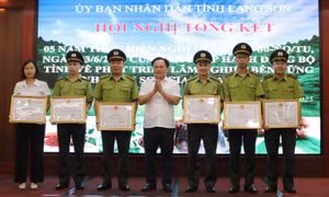 Thu hút mạnh nguồn lực đầu tư vào chế biến sâu các sản phẩm gỗ