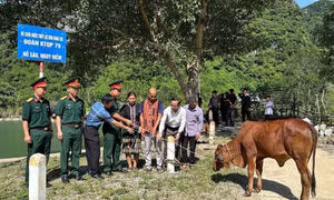 Hỗ trợ sinh kế cho đồng bào dân tộc thiểu số khó khăn