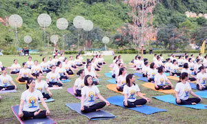 Yoga góp phần xây dựng một trái đất, một sức khỏe chung