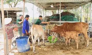 Đồng hành cùng người dân vùng biên phát triển kinh tế, gắn kết tình quân dân