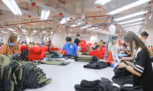 An Giang: Tạo động lực mới thúc đẩy kinh tế tư nhân phát triển