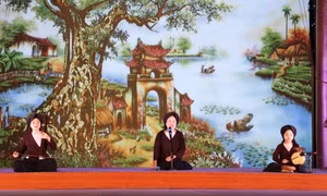 Một tiết mục biểu diễn của Câu lạc bộ hát Xẩm Hà Thị Cầu, tỉnh Ninh Bình. Ảnh: Đức Phương - TTXVN