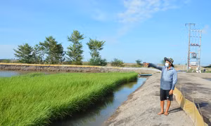 Chuyển đổi sản xuất 'thuận thiên' tạo đột phá kinh tế vùng ngập lũ