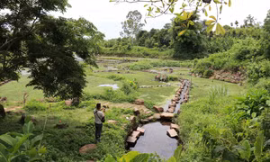 Gìn giữ và phát huy giá trị di sản giếng cổ ngàn năm Gio An
