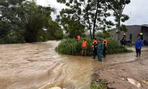 Mô hình độ ẩm đất tại Tuyên Quang ở trạng thái gần bão hòa