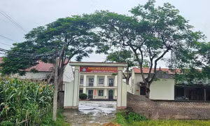 Vụ 'treo' bảo hiểm y tế học sinh ở Phú Thọ: Sẽ đảm bảo tối đa quyền lợi cho các em