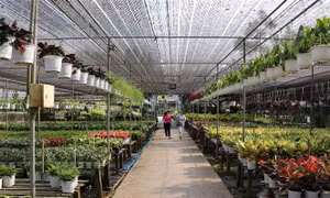 Điểm đến du lịch làng nghề truyền thống: Nơi lưu giữ nhiều giá trị văn hóa