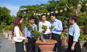 Điểm đến du lịch làng nghề truyền thống: Chung tay ”níu chân” du khách