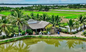 Giải thưởng Du lịch ASEAN 2025 gọi tên điểm du lịch cộng đồng Cồn Chim
