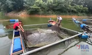 Khơi dậy tiềm năng phát triển ở xã Đại hội điểm tỉnh Lào Cai
