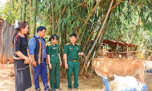Mô hình “Vườn rau gắn kết” của Binh đoàn 15 góp phần giúp các hộ đồng bào dân tộc thiểu số nâng cao chất lượng bữa ăn, cải thiện cuộc sống. Ảnh: Sơn Tùng