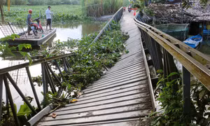 Sớm khắc phục sụp, lún cầu nông thôn, đảm bảo cho người dân đi lại