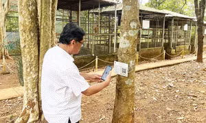 Bảo vệ rừng bằng mã QR