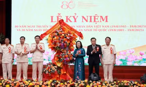 Phát huy hiệu quả phong trào toàn dân bảo vệ an ninh Tổ quốc