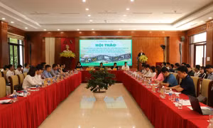 Xây dựng 'Sa Pa xanh – Nông nghiệp sạch – Du lịch bền vững'