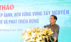Ủy viên Bộ Chính trị, Trưởng Ban Kinh tế Trung ương Trần Tuấn Anh phát biểu khai mạc hội thảo. Ảnh: Hoài Thu – TTXVN