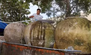 Tranh thủ vào mùa mưa, người dân sinh sống ven biển An Biên tận dụng lu để chứa nước sử dụng. Ảnh: Lê Sen - TTXVN