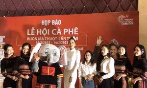 Nông dân thu hái cà phê phục vụ chế biến xuất khẩu. Ảnh: TTXVN phát 