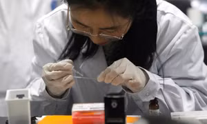 Liệu pháp mới bao gồm biện pháp vô hiệu hóa một mã gene có tên gọi là kat7 mà các nhà khoa học tin là tác nhân chính gây ra quá trình lão hóa ở tế bào. Ảnh: nypost.com