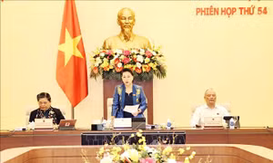 Chủ tịch Quốc hội Nguyễn Thị Kim Ngân phát biểu khai mạc. Ảnh: Trọng Đức - TTXVN