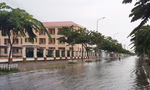 Khẩn trương khắc phục thiệt hại do mưa lớn, dông lốc ở Cà Mau