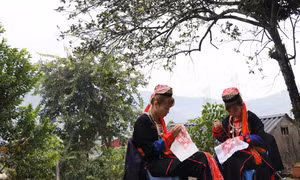 Gìn giữ nghệ thuật thêu, dệt thổ cẩm của người Dao Thanh Y