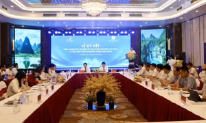 Hợp tác nhằm nâng cao năng lực số cho địa phương miền núi