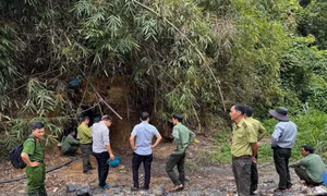 Xử lý các đối tượng khai thác vàng không phép trong rừng phòng hộ Đắk Glong - Gia Nghĩa