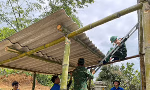 Hưởng ứng Ngày Chủ nhật xanh với nhiều hoạt động ý nghĩa