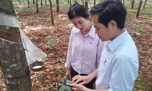 Chàng trai dân tộc Nùng tiên phong thực hiện số hóa, kiến tạo tương lai