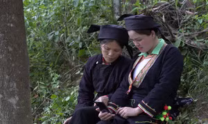Lạng Sơn: Sóng viễn thông về " vùng lõm" 