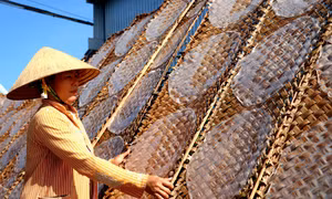 Rộn ràng làng bánh tráng Thuận Hưng