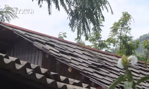 Bản Na Niếng, xã Tri Lễ, huyện Quế Phong (Nghệ An) gồm 100 hộ đồng bào Mông, Thái, nhà nào cũng giữ được nếp nhà cổ của cha ông để lại. Ảnh: Bích Huệ - TTXVN