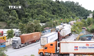 Hoạt động xuất nhập khẩu diễn ra sôi động tại Cửa khẩu quốc tế Hữu Nghị, tỉnh Lạng Sơn. Ảnh: Quang Duy – TTXVN
