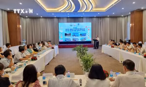 Quang cảnh Hội thảo. Ảnh: Nguyễn Thành - TTXVN